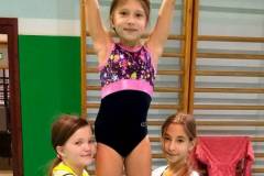 gibko-gimnastika-01